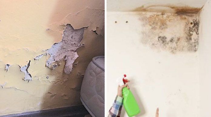 Cómo combatir la humedad en las paredes: soluciones efectivas para evitar futuros problemas