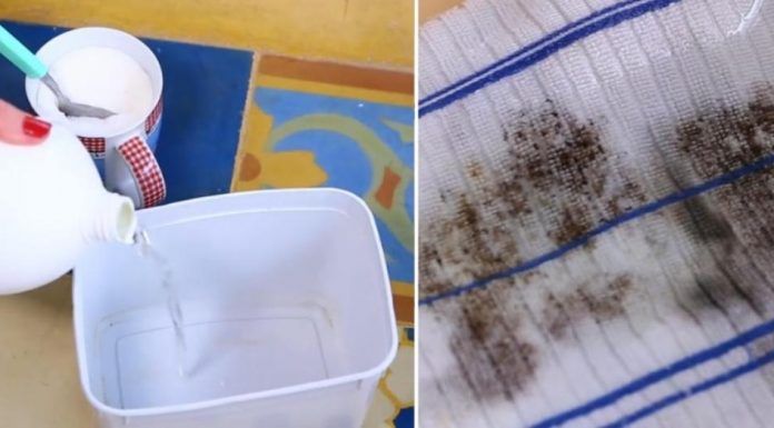 Elimina manchas de moho con el poder del azúcar: Guía paso a paso