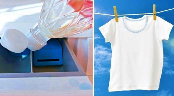 Guía práctica para blanquear la ropa, eliminar el mal olor y los pelos de mascota con vinagre