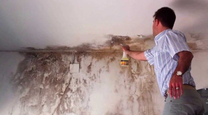 7 Trucos Efectivos para Quitar y Prevenir Manchas de Humedad en Paredes