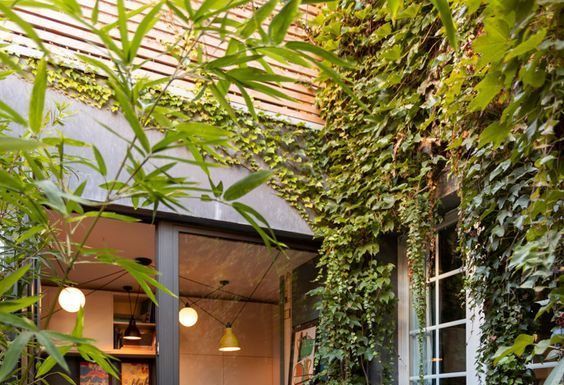 Lindas ideas de Jardines de interiores para mejorar el ambiente de tu hogar