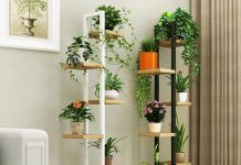 Beneficios de tener plantas en casa para la decoración y salud